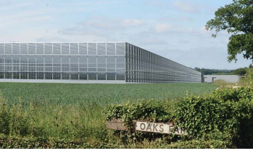 High-Tech Greenhouses Now Under Construction in East Anglia