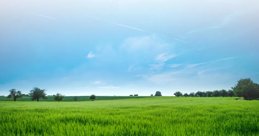 Do Protected Species Devalue My Land?