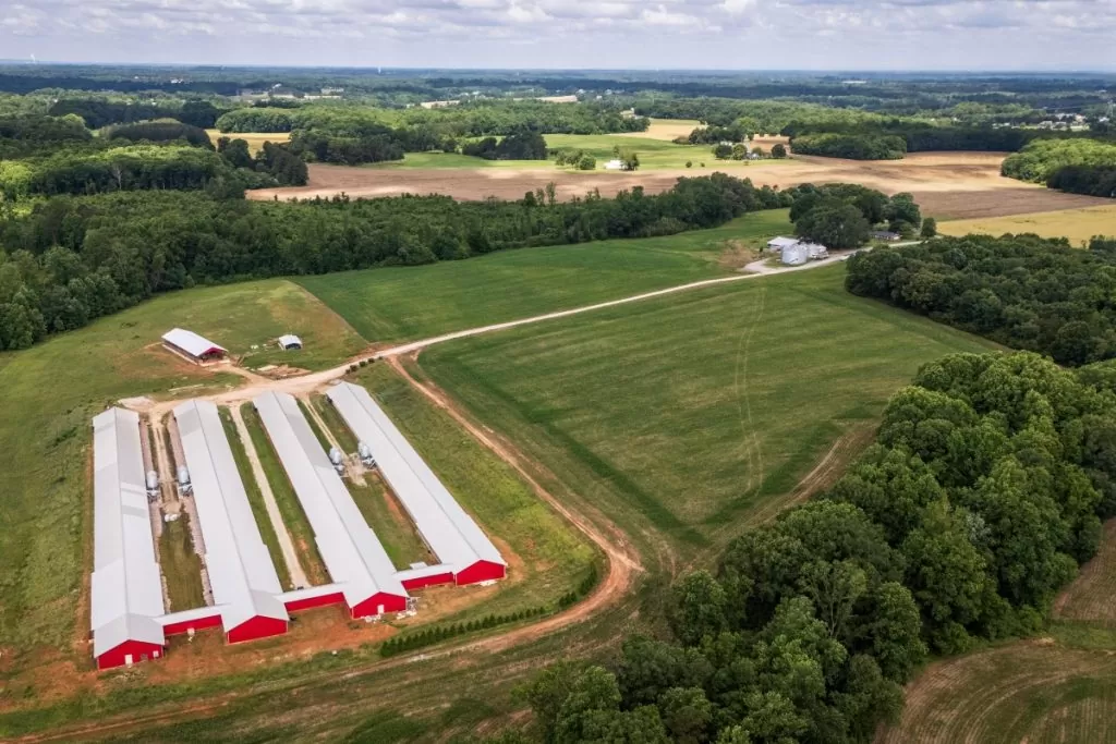 Can I Get an Ecology Survey Before I Buy Land?